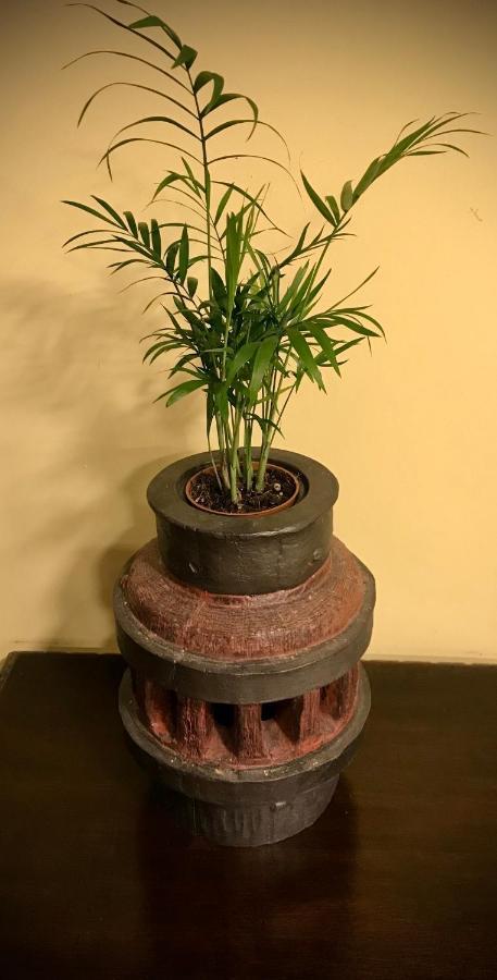 Loft 80 Mts En Un Entorno Natural. เมียเรส ภายนอก รูปภาพ